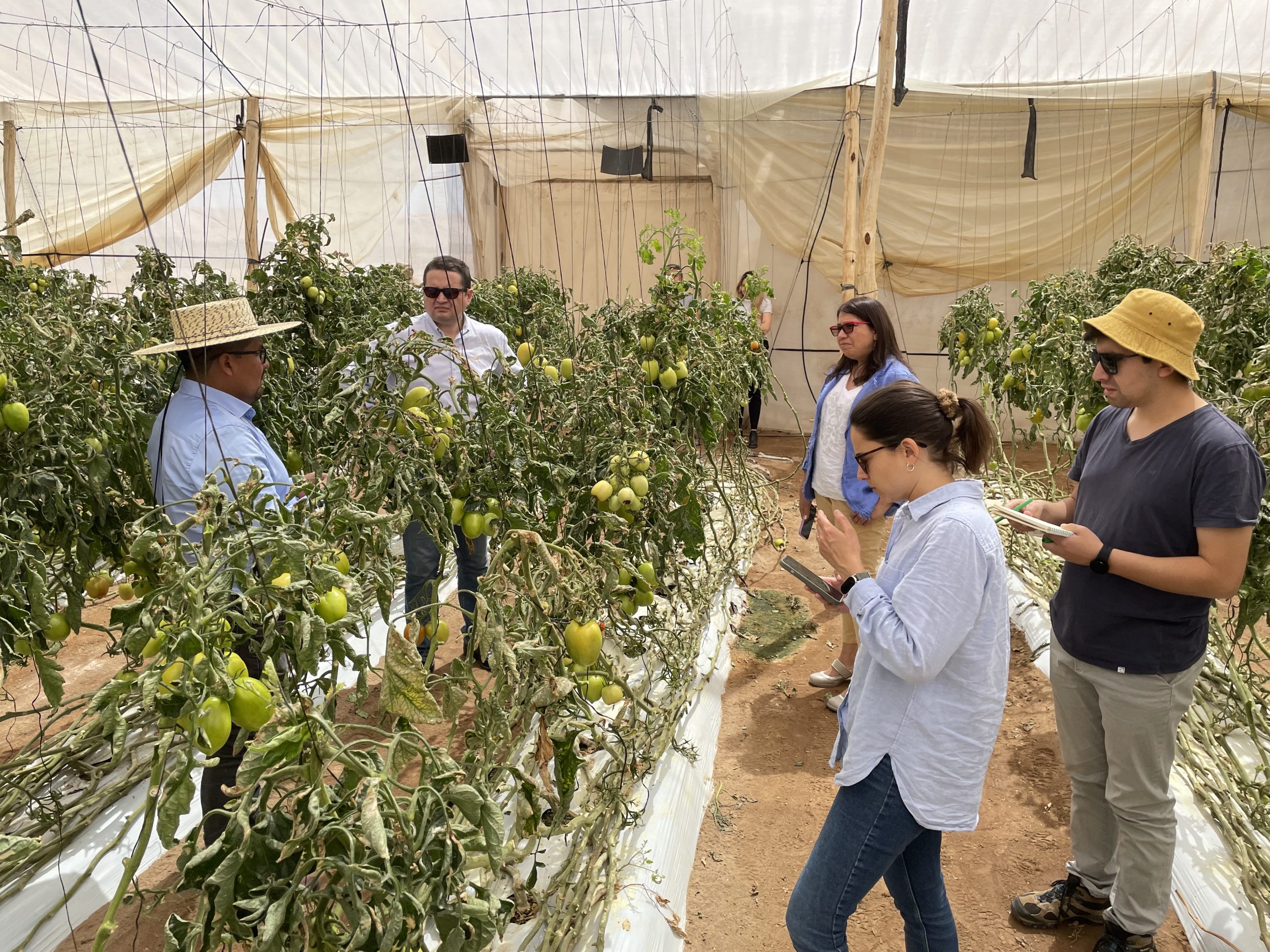 Abren programa para desarrollar inversión productiva de las Cooperativas