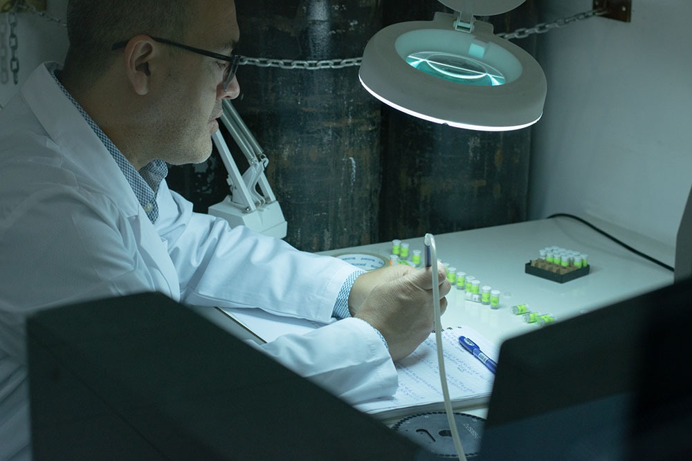Abren Magíster en Física Médica en Diagnóstico por Imagen y es el primero de su tipo en Chile