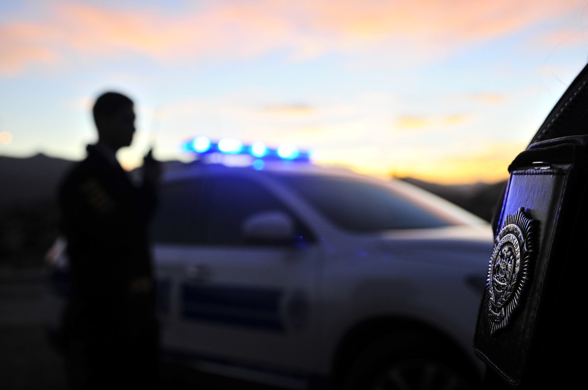 Detenidos Dos Individuos por Robo Violento en Arica: PDI en Acción