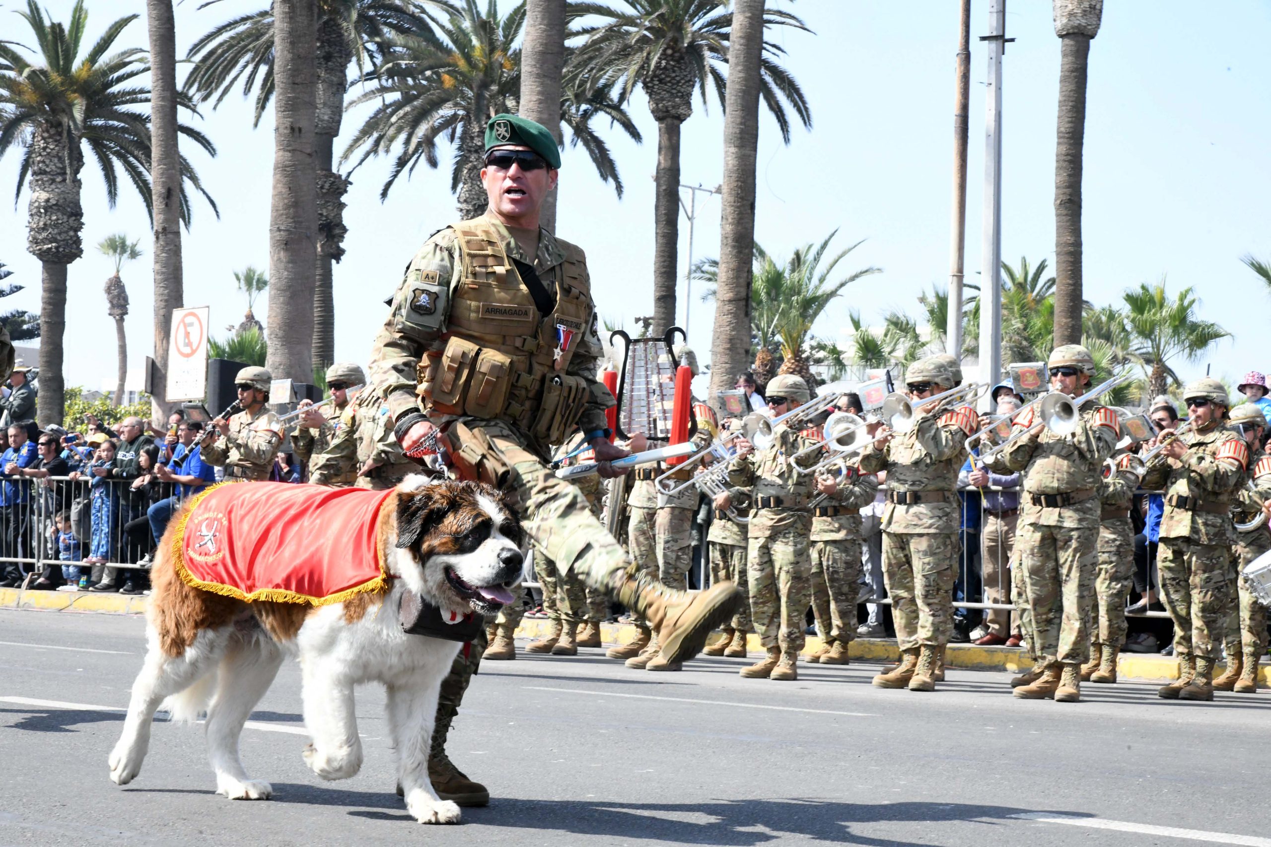 ¡Arica es 7 de Junio!: Vibrante desfile al pie del Morro