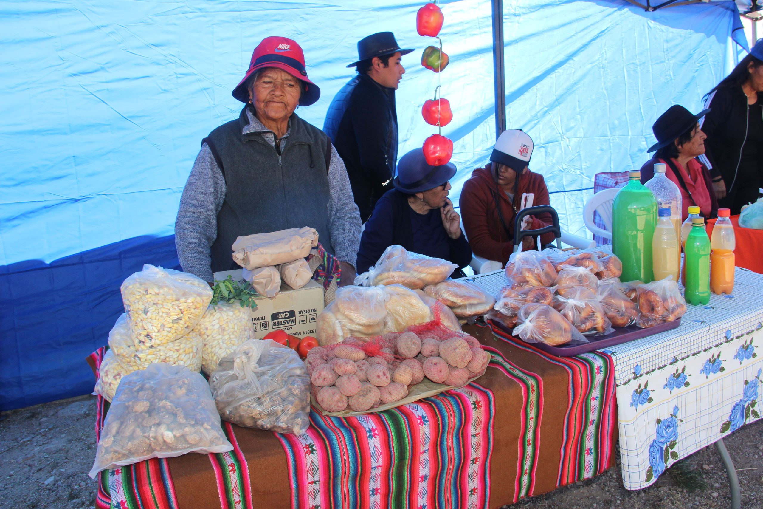 El pueblo de Chapiquiña presentó las virtudes de su agricultura ancestral con el primer “Encuentro de la papa chiquisa”