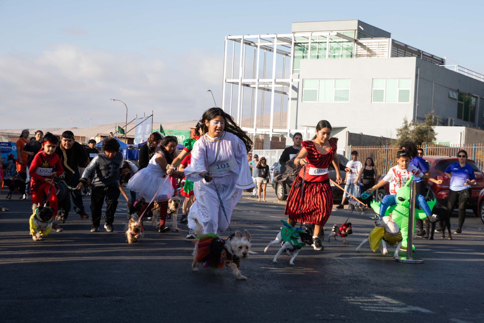 Mascotas disfrutaron del Halloguau en el Arican