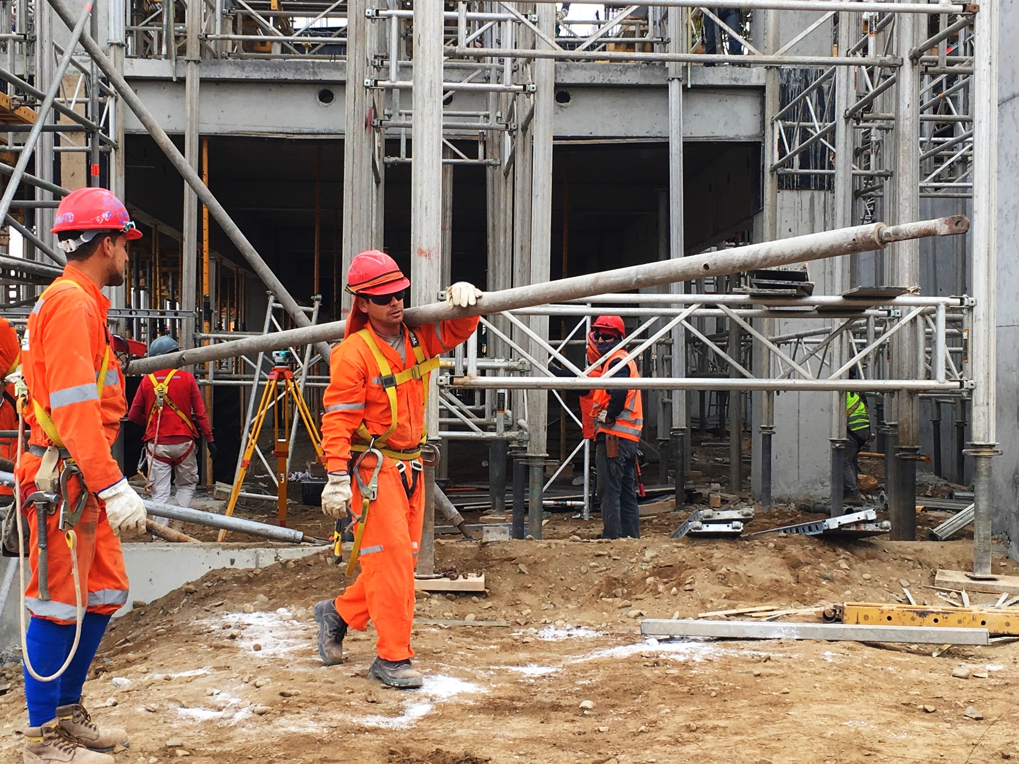 Arica y Parinacota registra importante mejora en empleo: desocupación cae a 7,9% y aumenta la ocupación formal