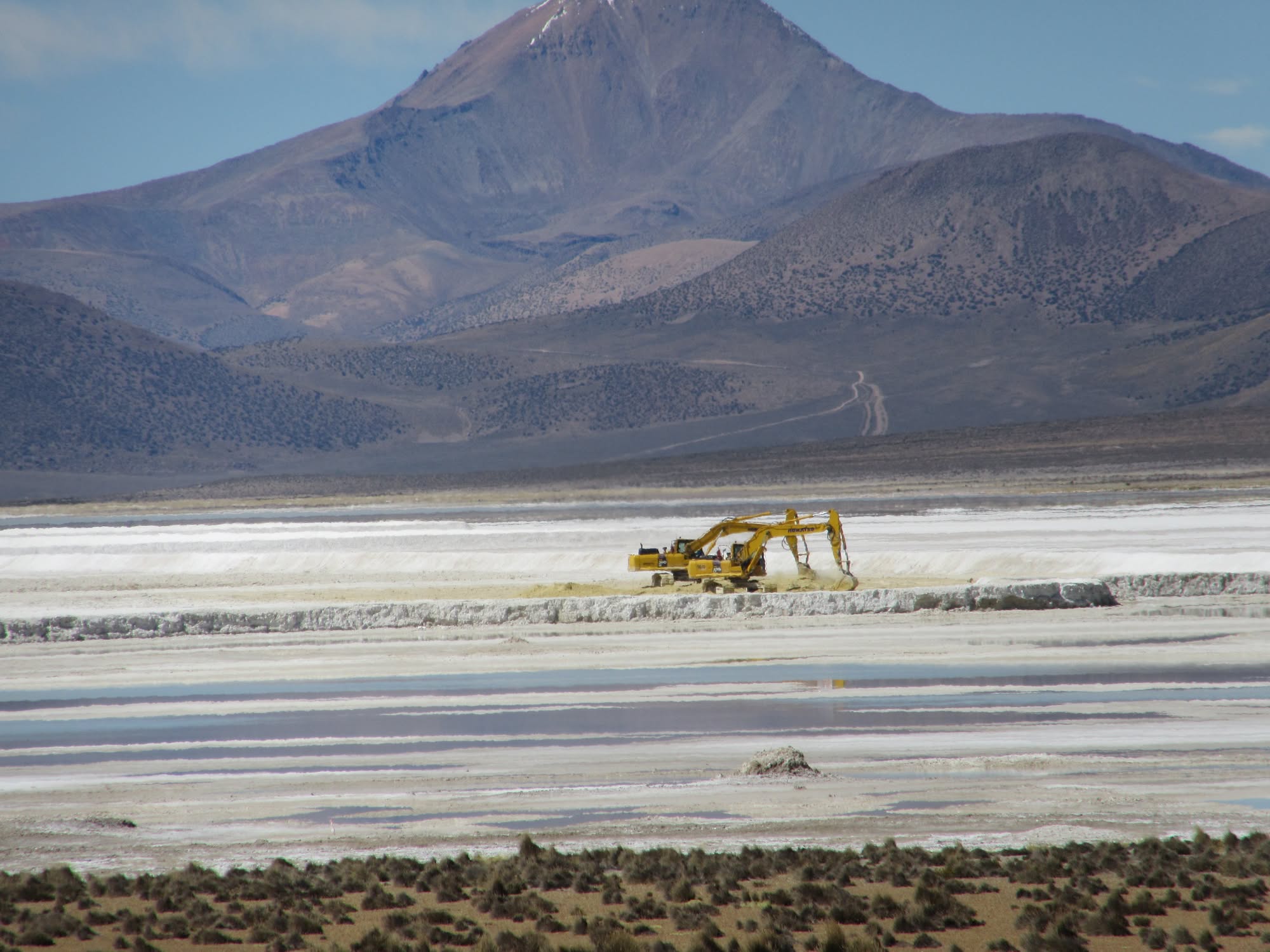 En Arica invitan a Seminario sobre valor patrimonial y biodiversidad del Salar de Surire