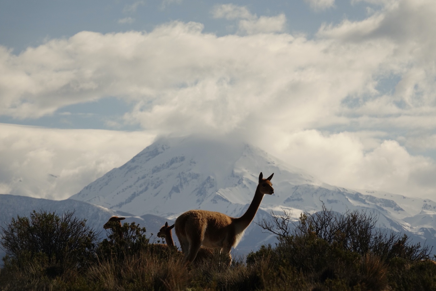 Alianza Mundial Aymara aporta mirada intercultural al fortalecimiento del turismo municipal en Chile
