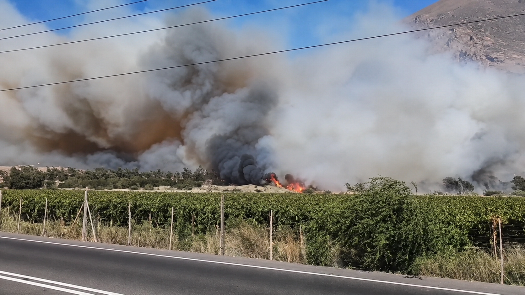 Se declara Alerta Roja para la Provincia de Arica por incendio forestal en la Reserva Nacional Las Vicuñas