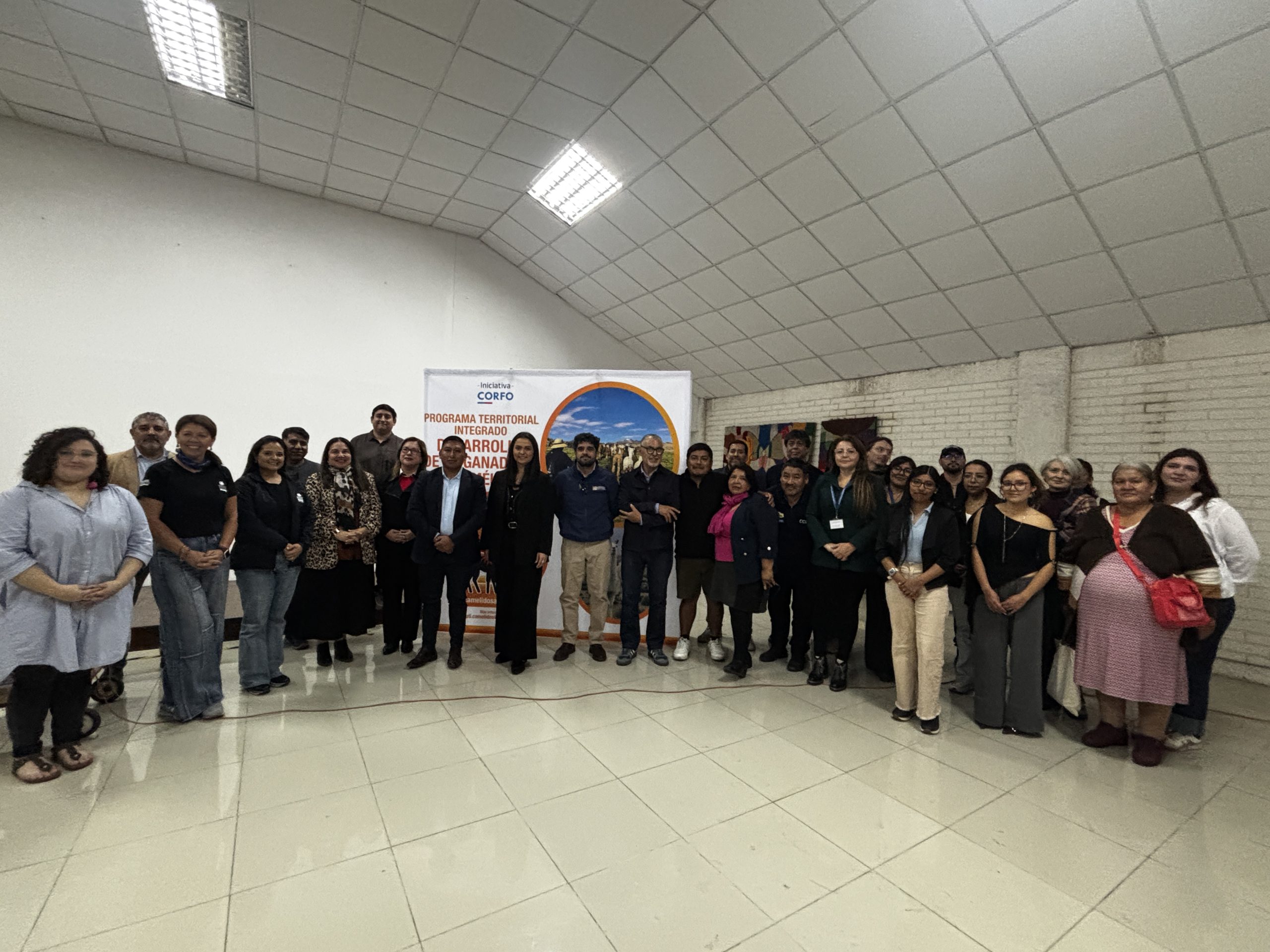 Putre comprometido con habilitar planta de faenamiento para la ganadería camélida