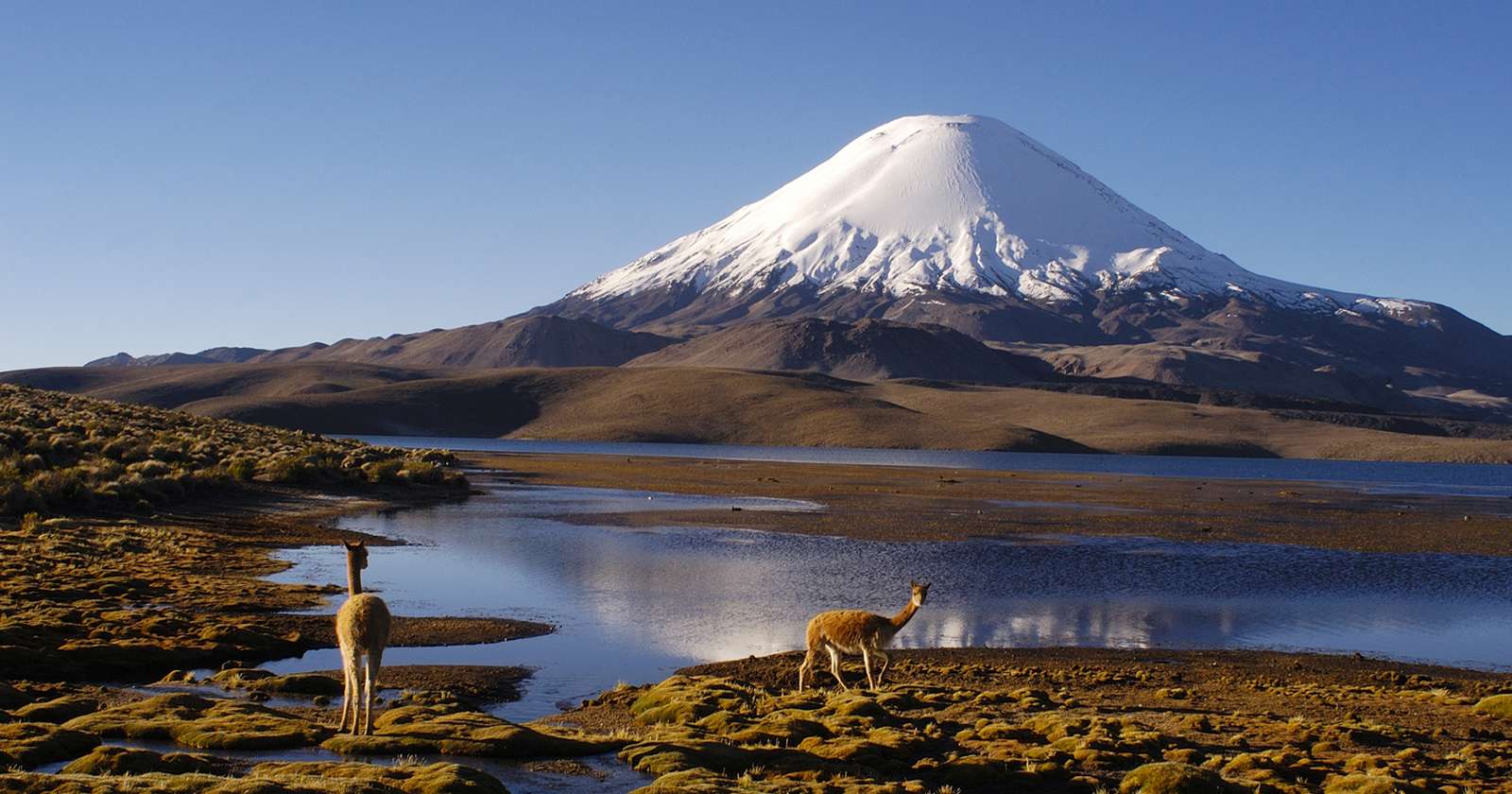 Fiscalización de CGR a CONAF constata debilidades en la gestión del Parque Nacional Lauca y el lago Chungará