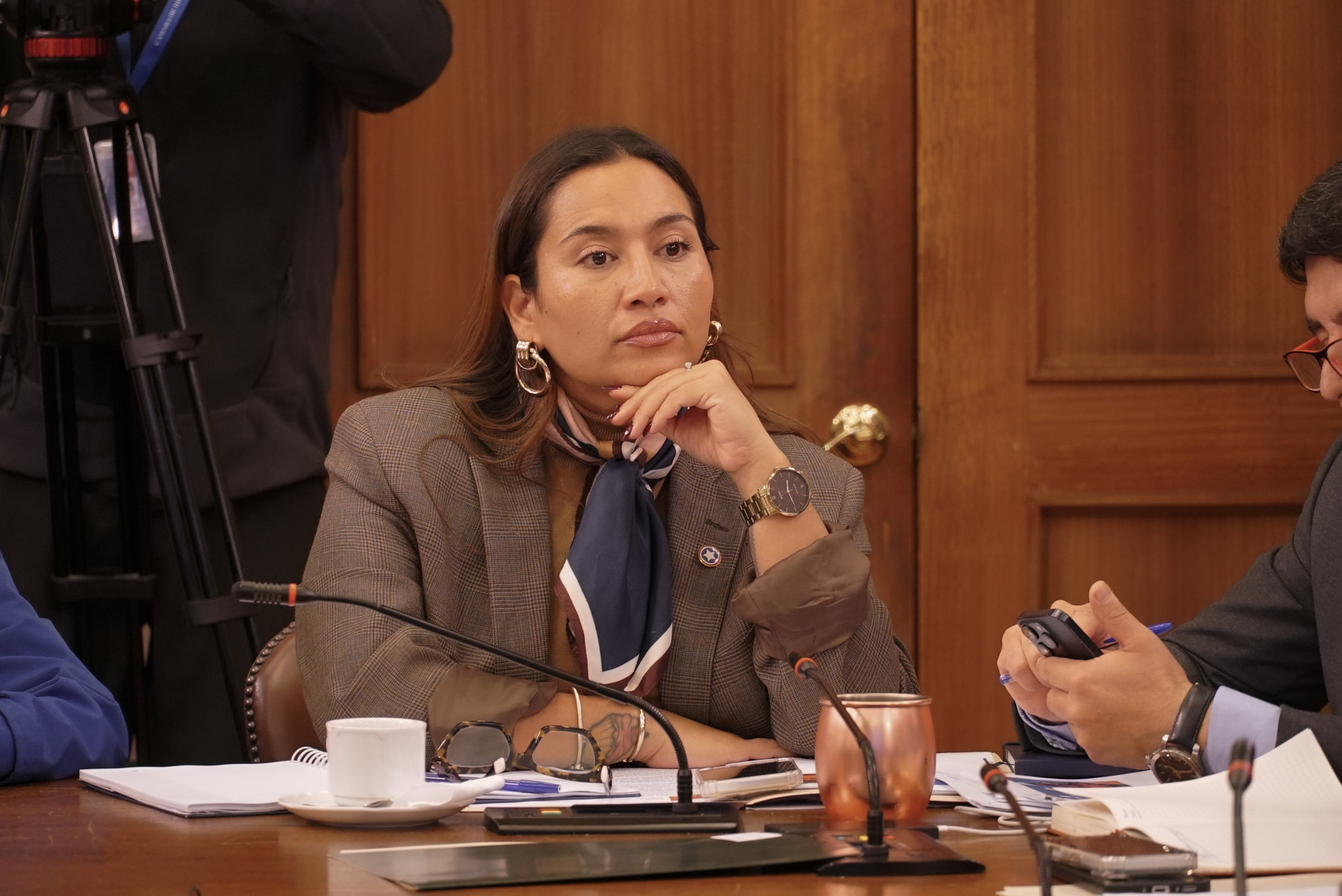 Tras cuantiosos decomisos en la zona norte: Diputada Jéldrez impulsa proyecto para fortalecer la persecución del contrabando de alimentos