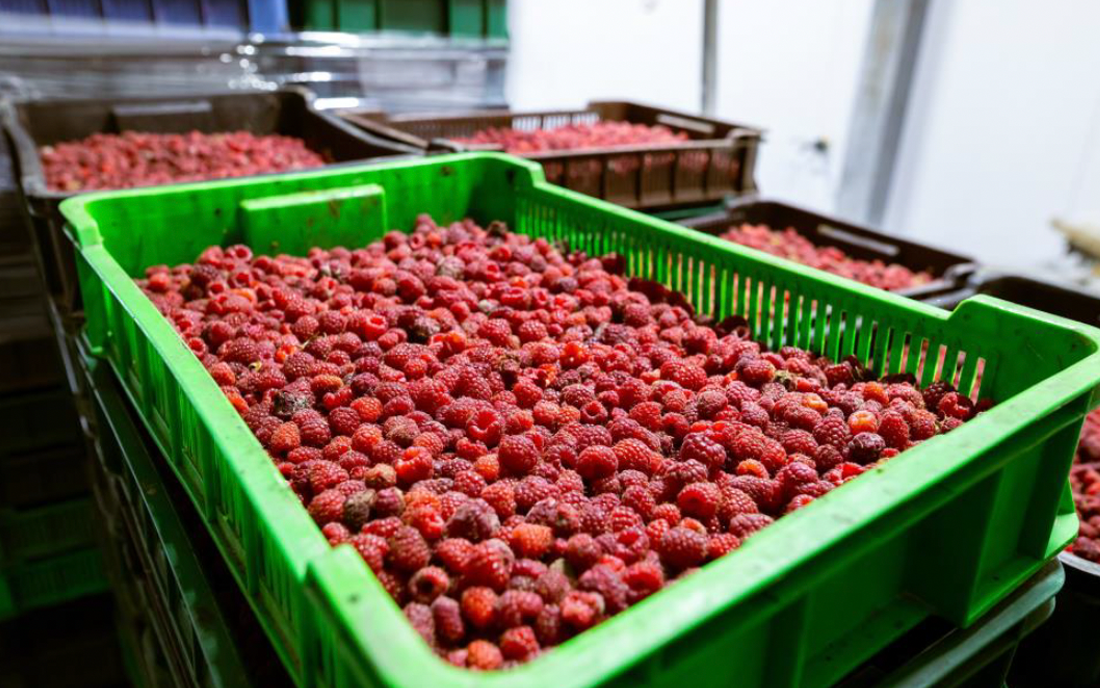 Exportaciones enero-julio crecen 15% y superan los US$ 70.000 millones: Alimentos alcanzan cifra récord