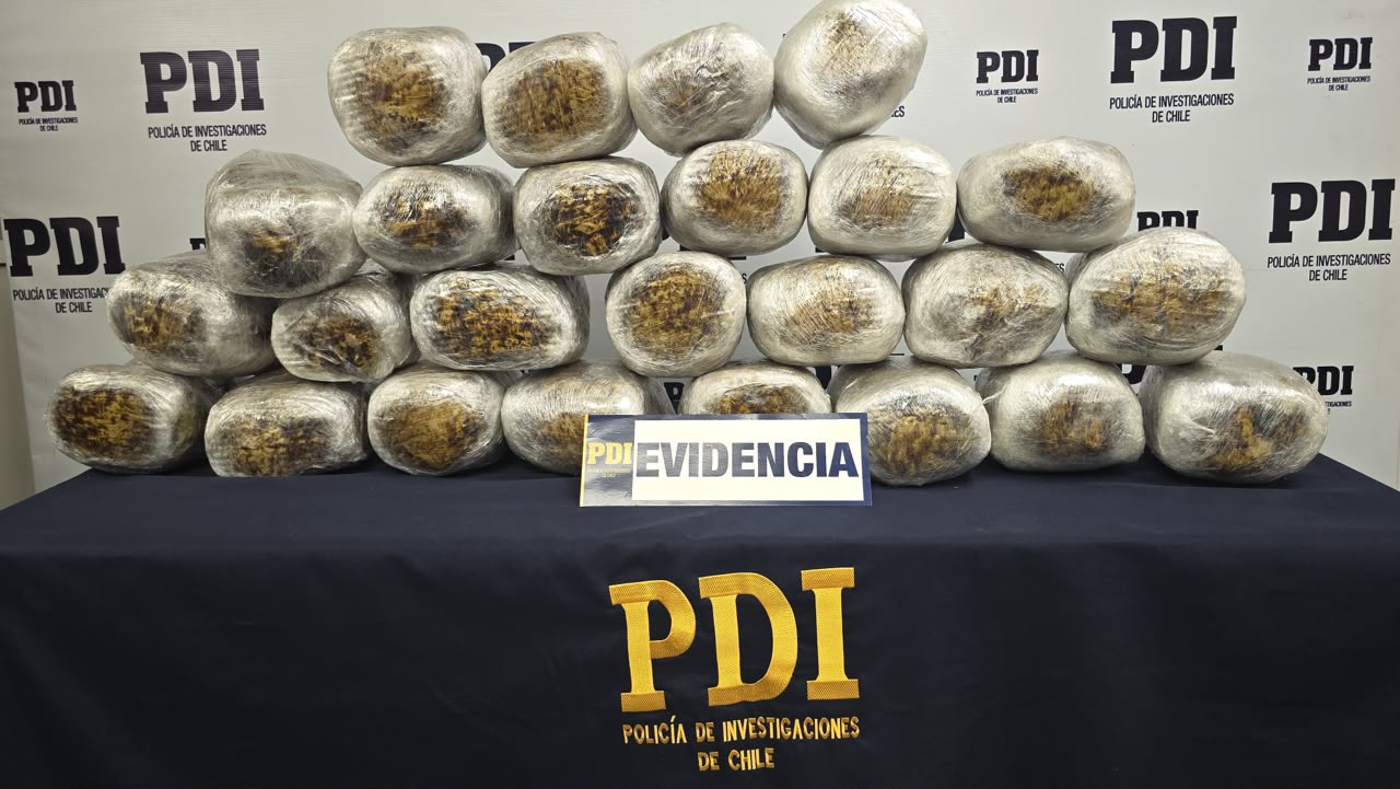 PDI desarticula operación de narcotráfico en Arica: Incautan más de 28 kilos de cannabis ocultos en camión de alto tonelaje